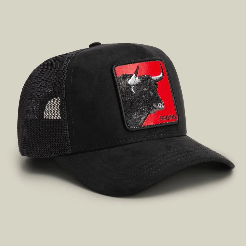 Toro Rosso