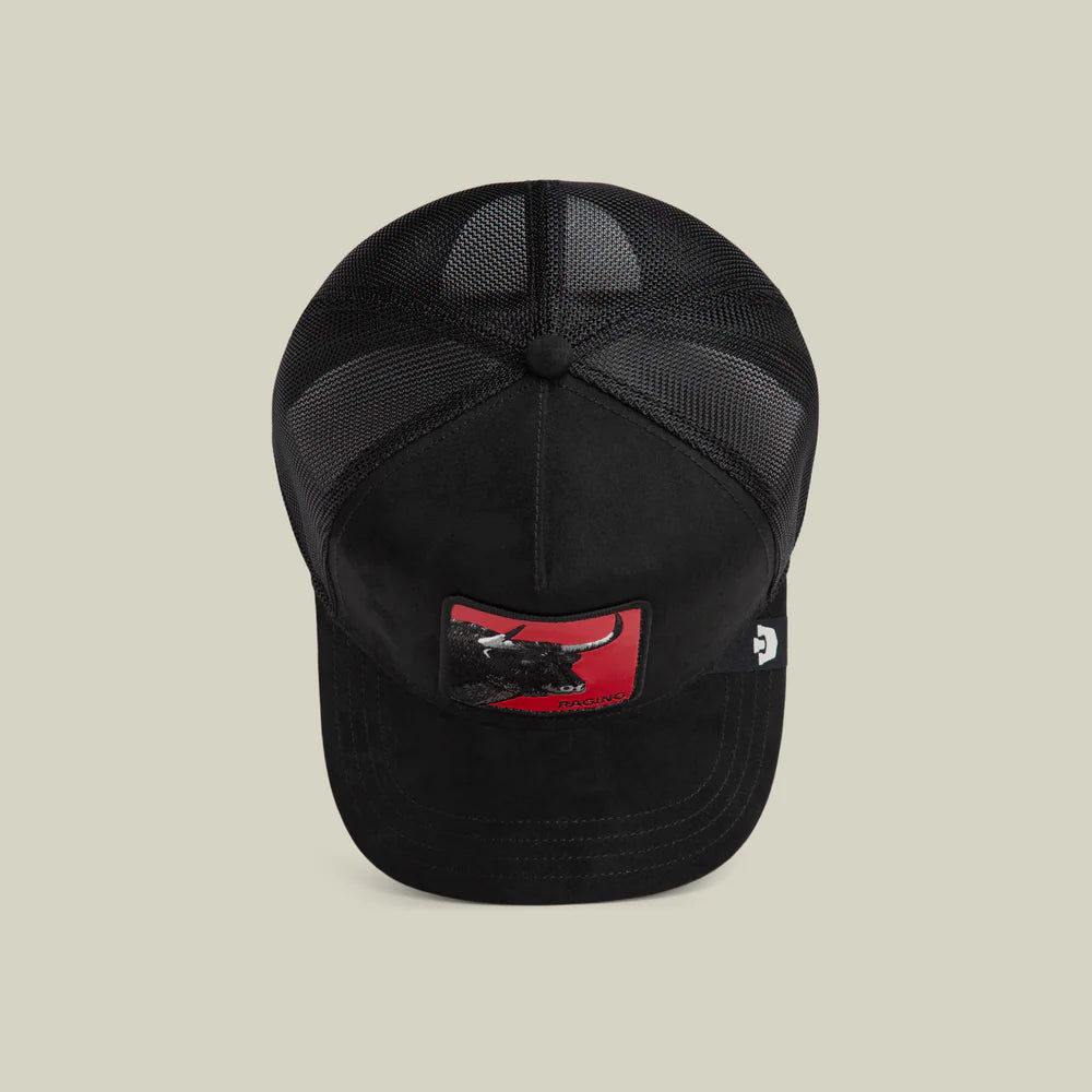 Toro Rosso