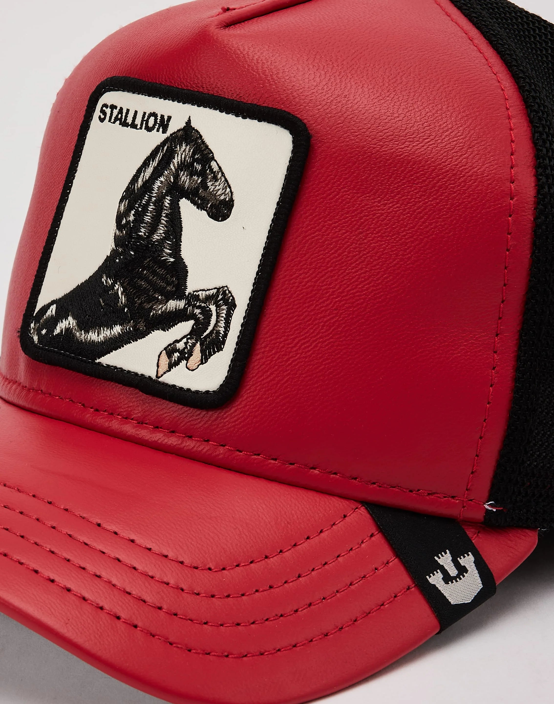 Shleather Stallion
