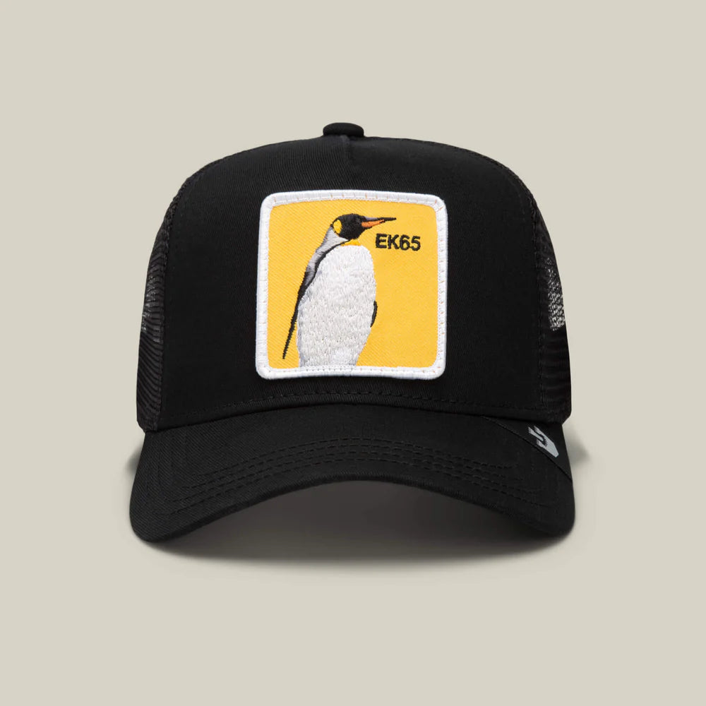 Pingüino EK65