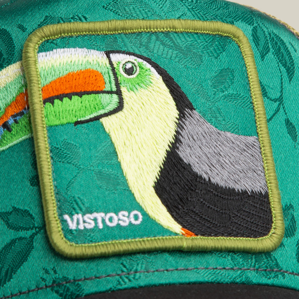 Belize Toucan