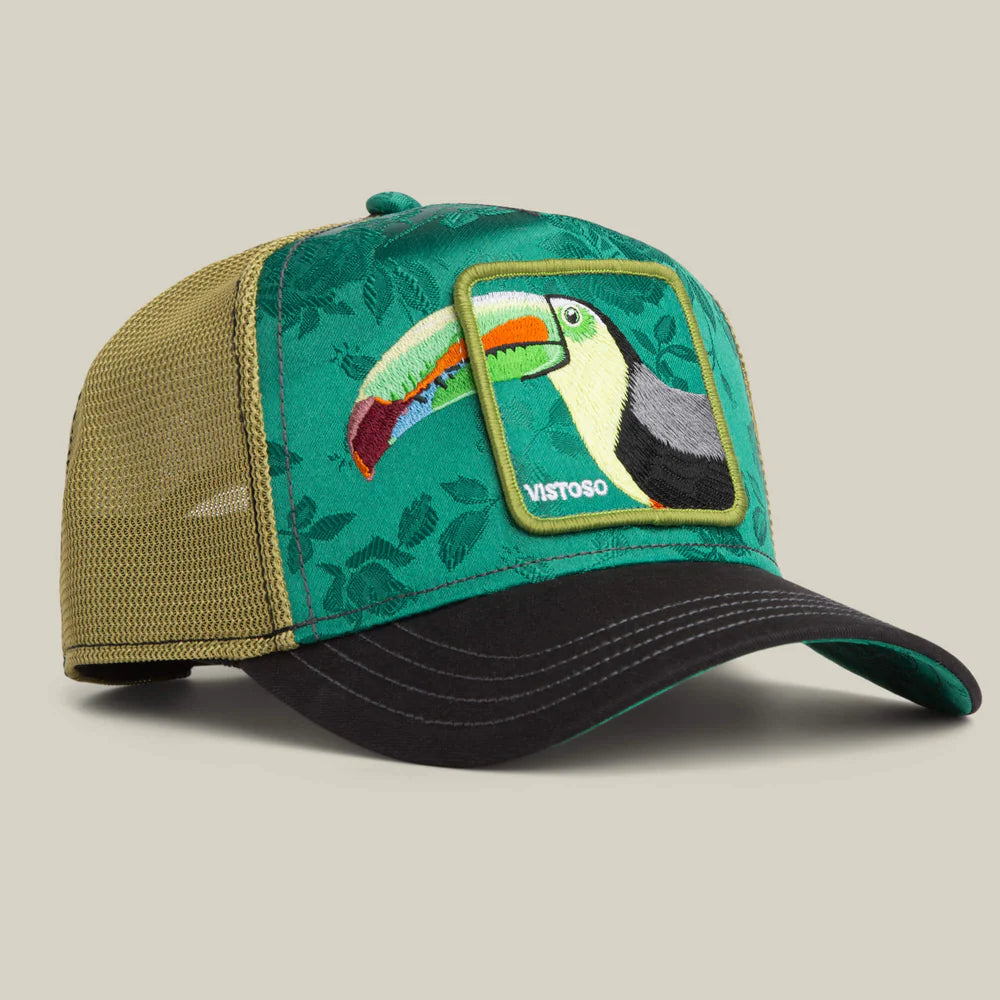 Belize Toucan