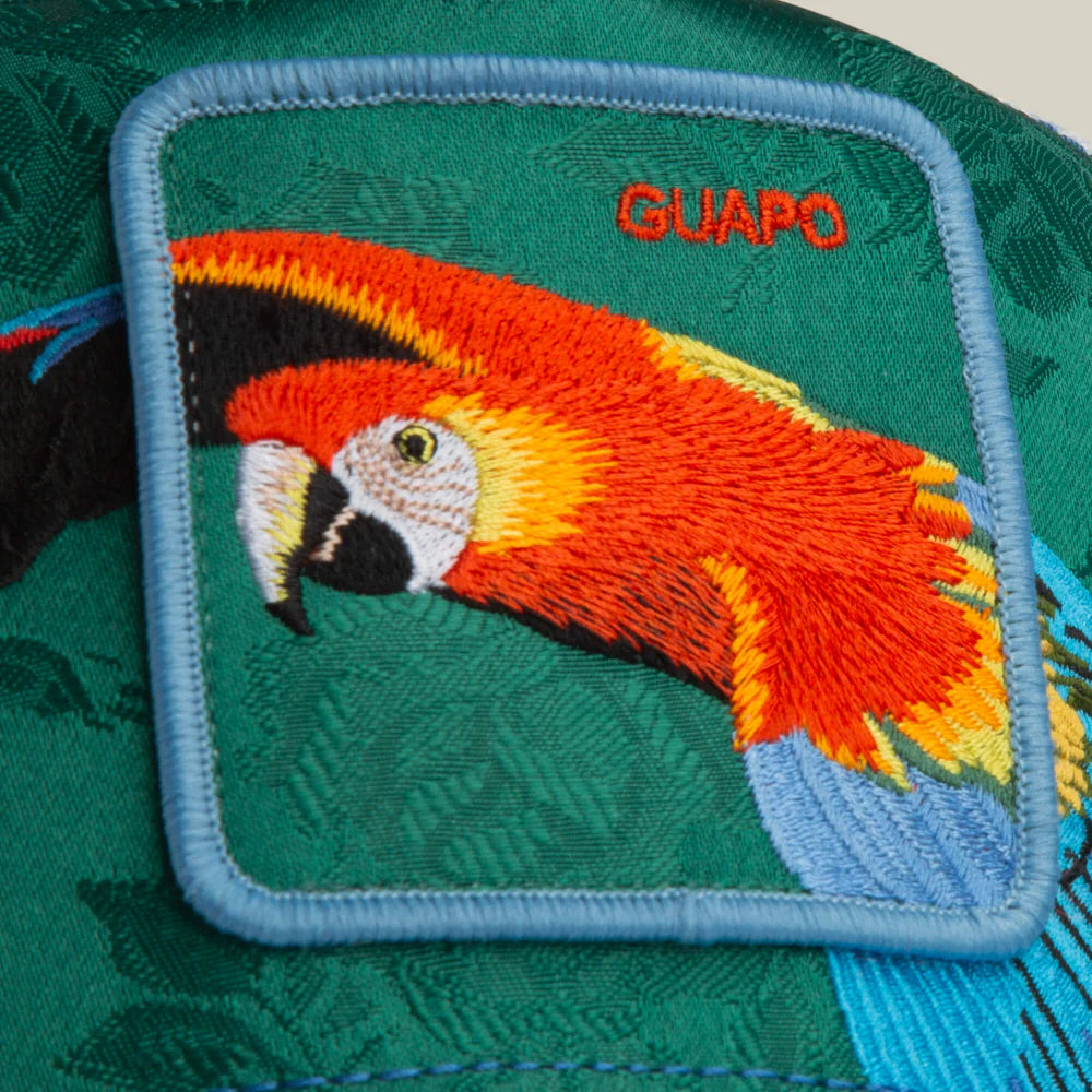 Honduras Macaw
