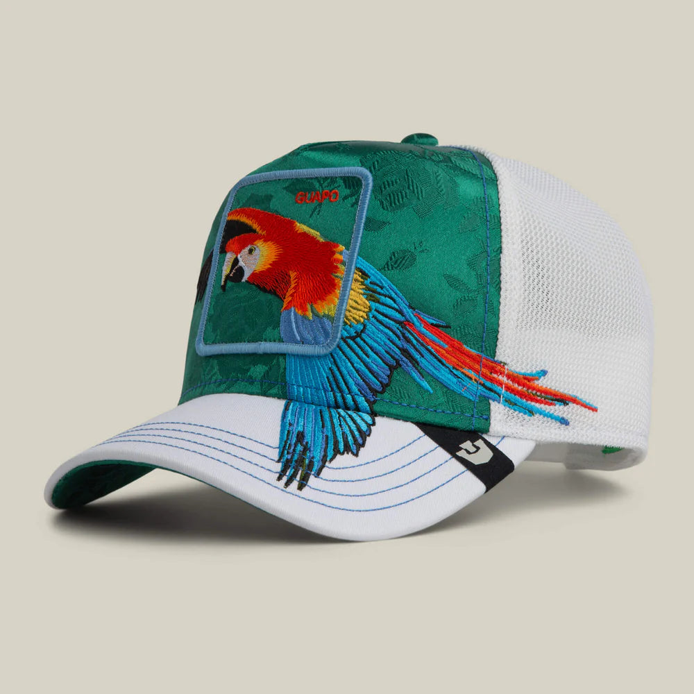 Honduras Macaw