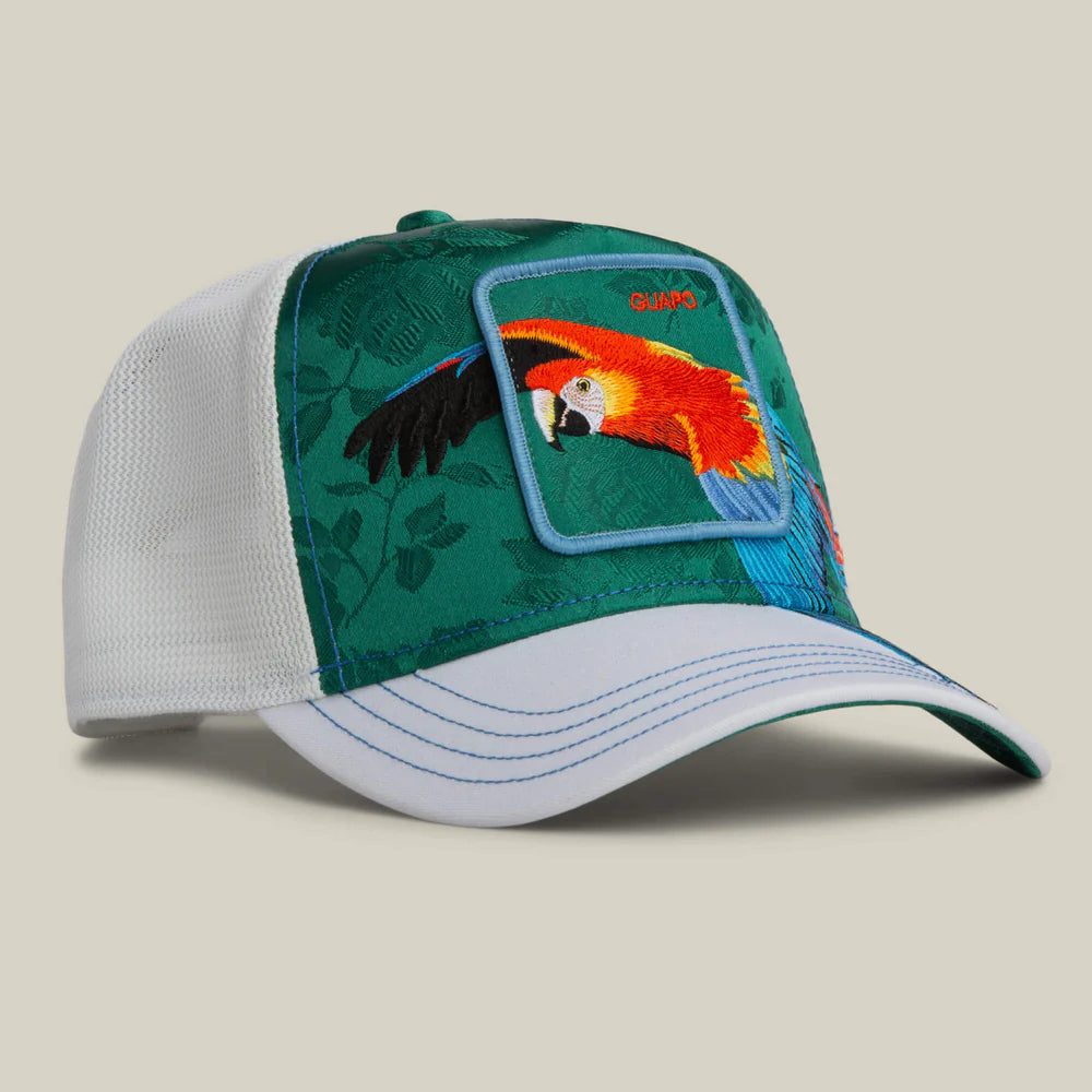 Honduras Macaw