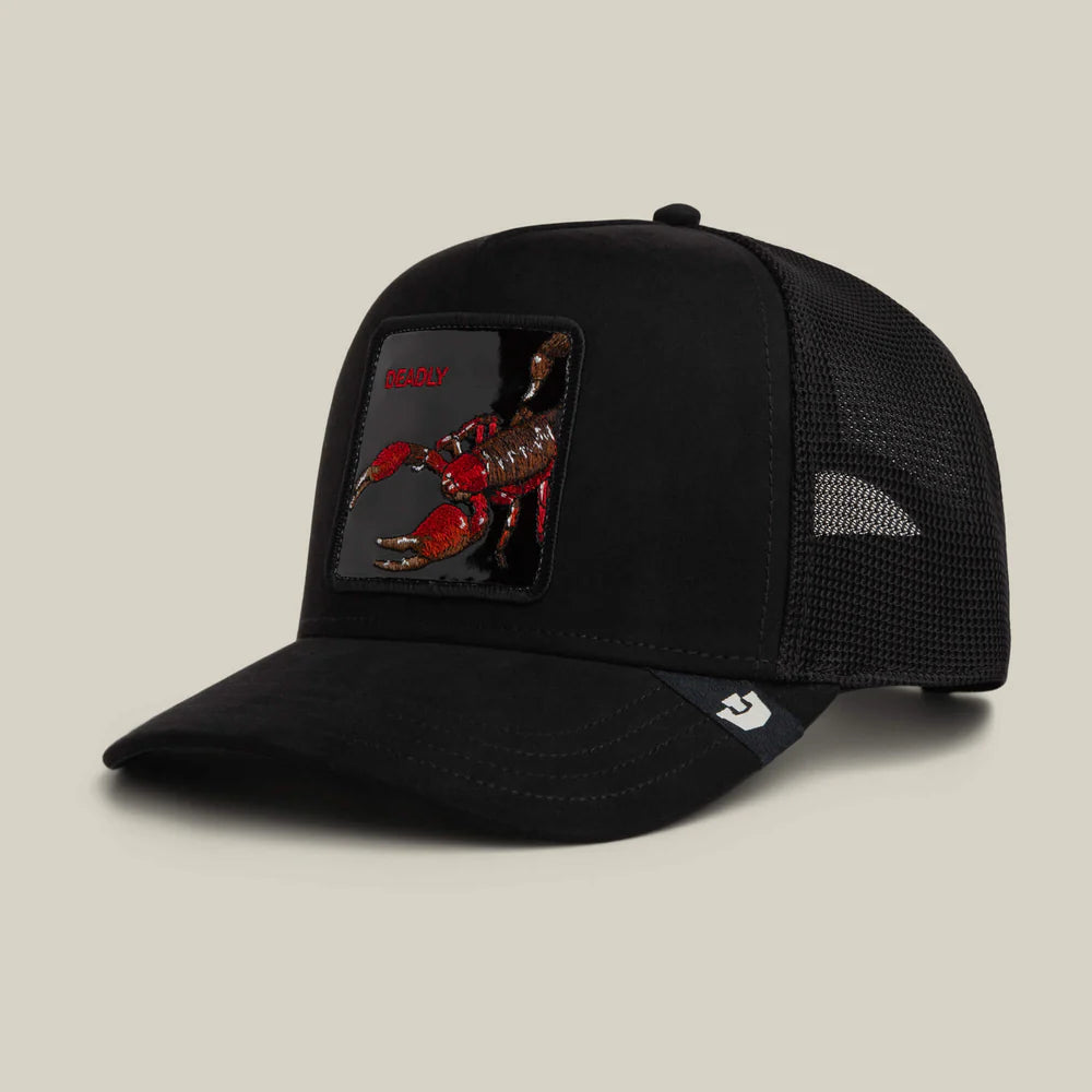 Black Out Scorpion