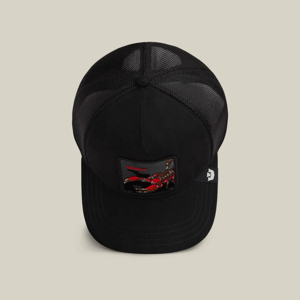 Black Out Scorpion
