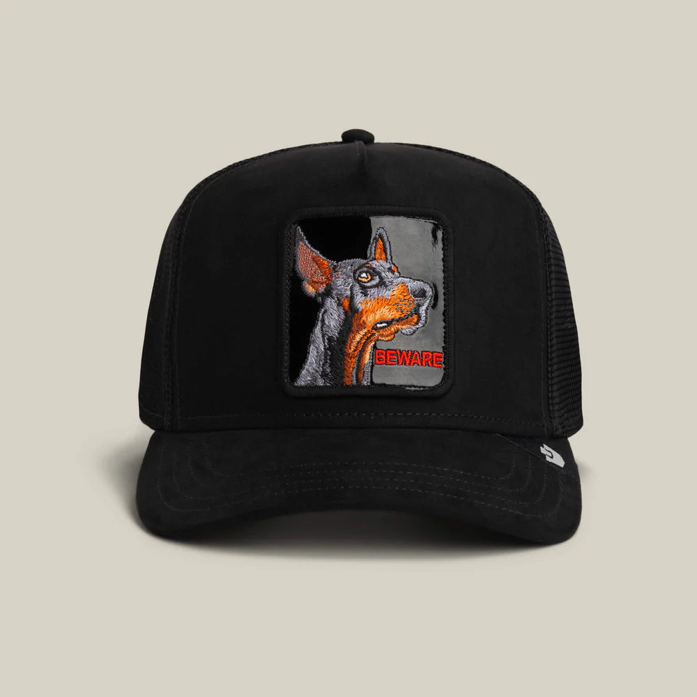 Black Out Doberman