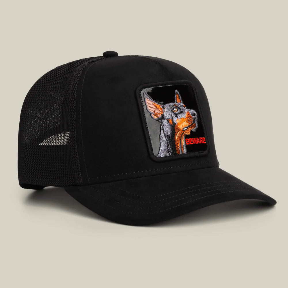 Black Out Doberman