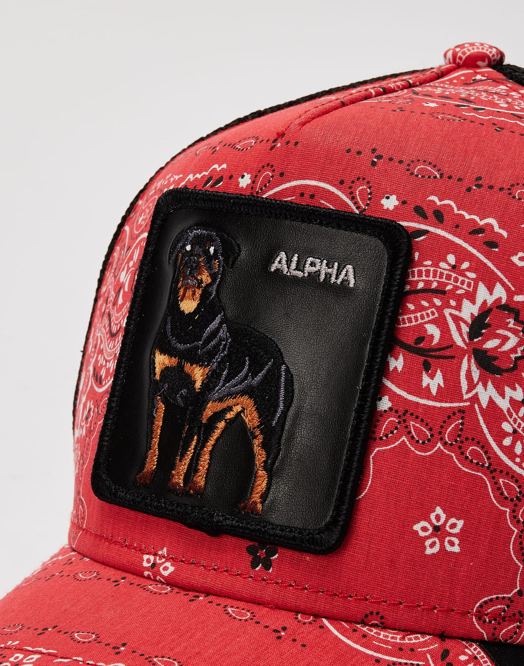 Goorin Bros Without Warning Alpha