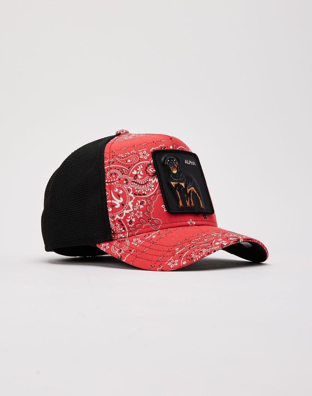 Goorin Bros Without Warning Alpha