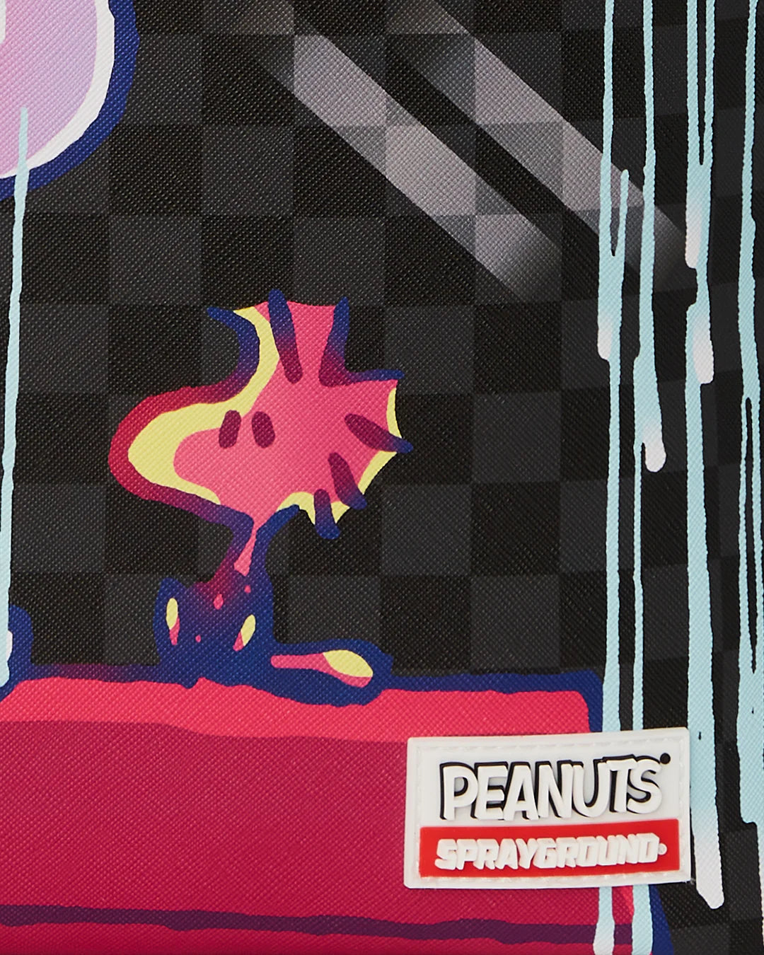 SNOOPY WEATHER THE WEATHER