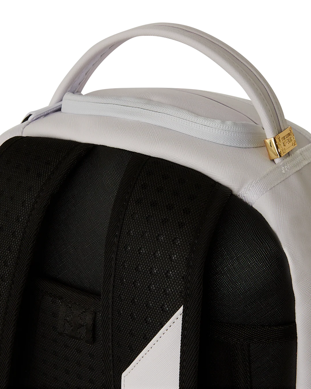 SHARKS IN PARIS GT ITALIA