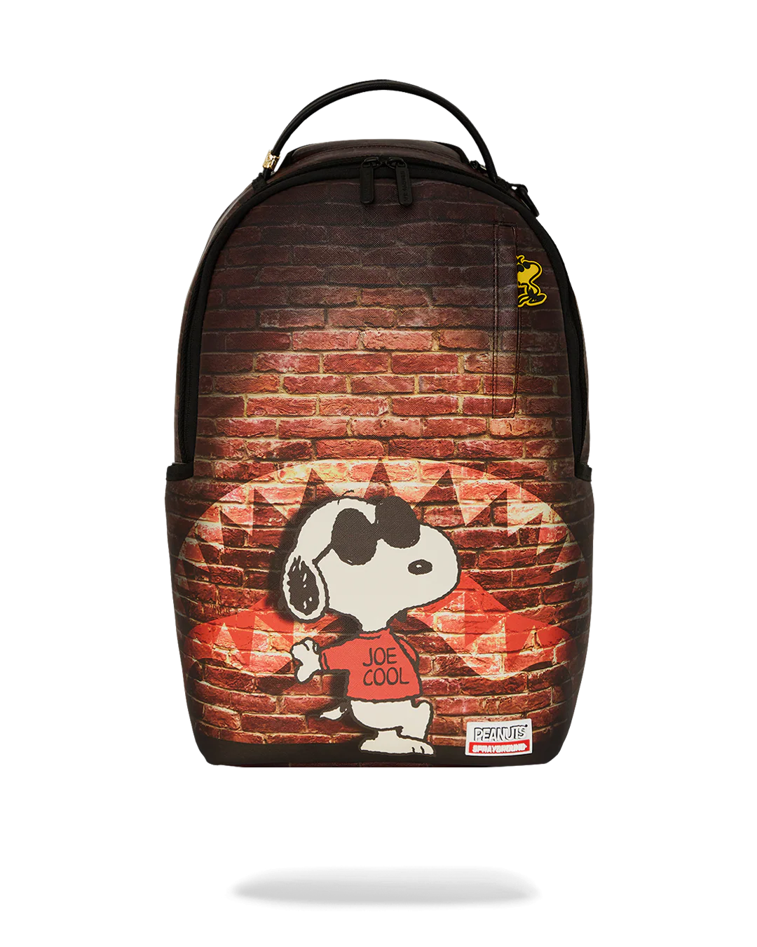 SNOOPY JOE COOL FOR SCHOOL