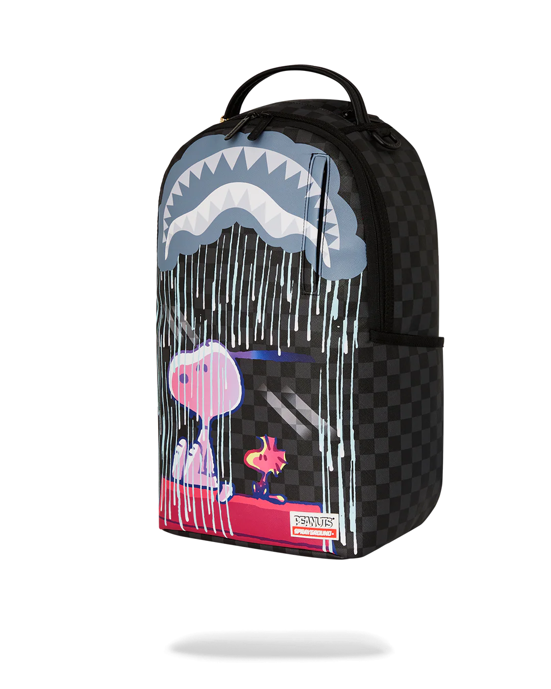 SNOOPY WEATHER THE WEATHER