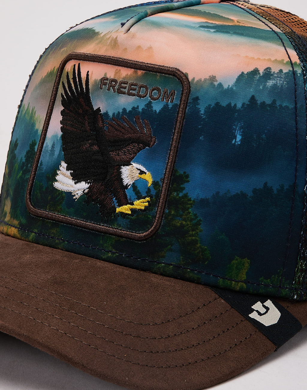 Eagle In The Element