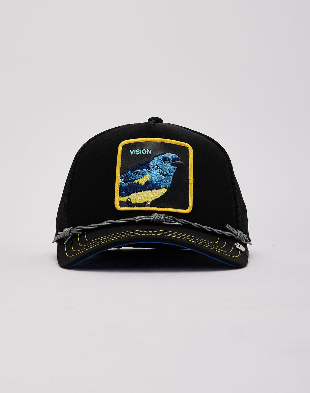 Bird Vision