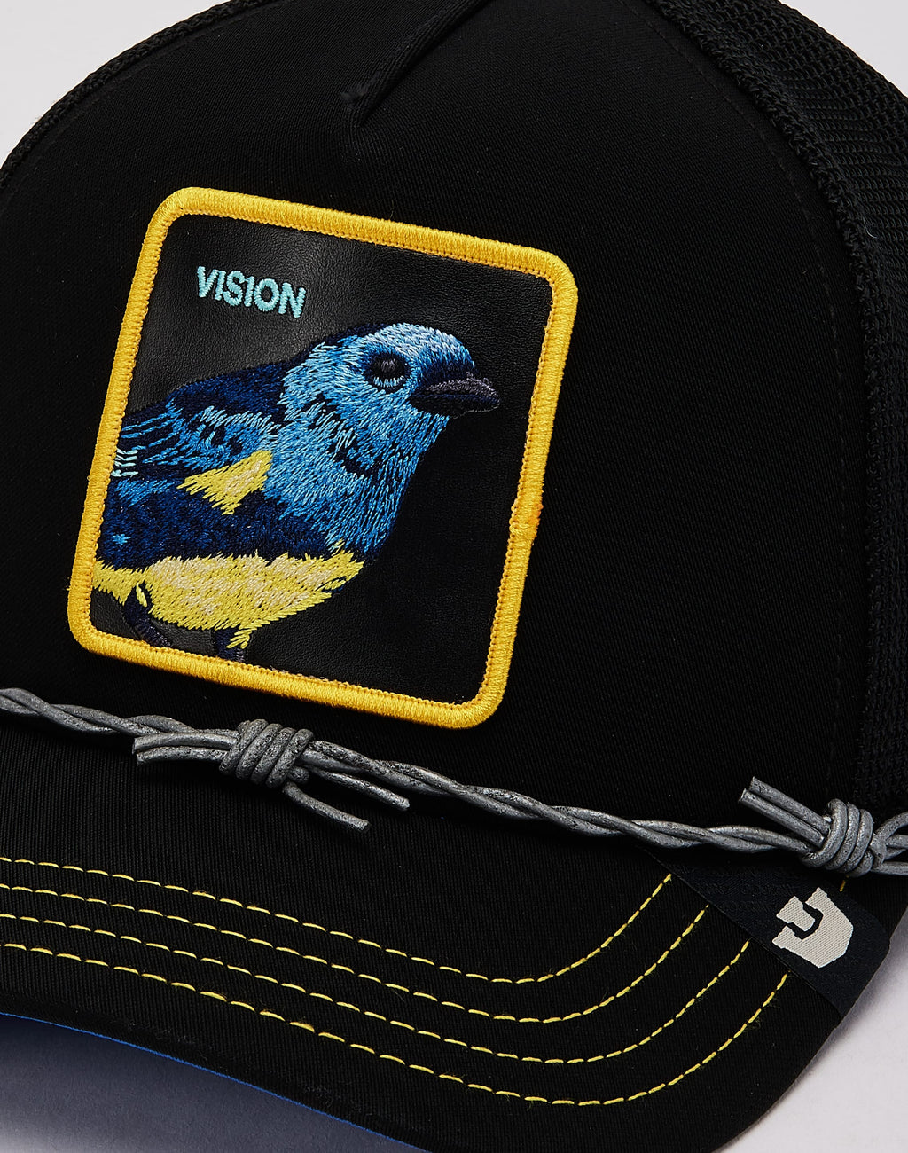 Bird Vision